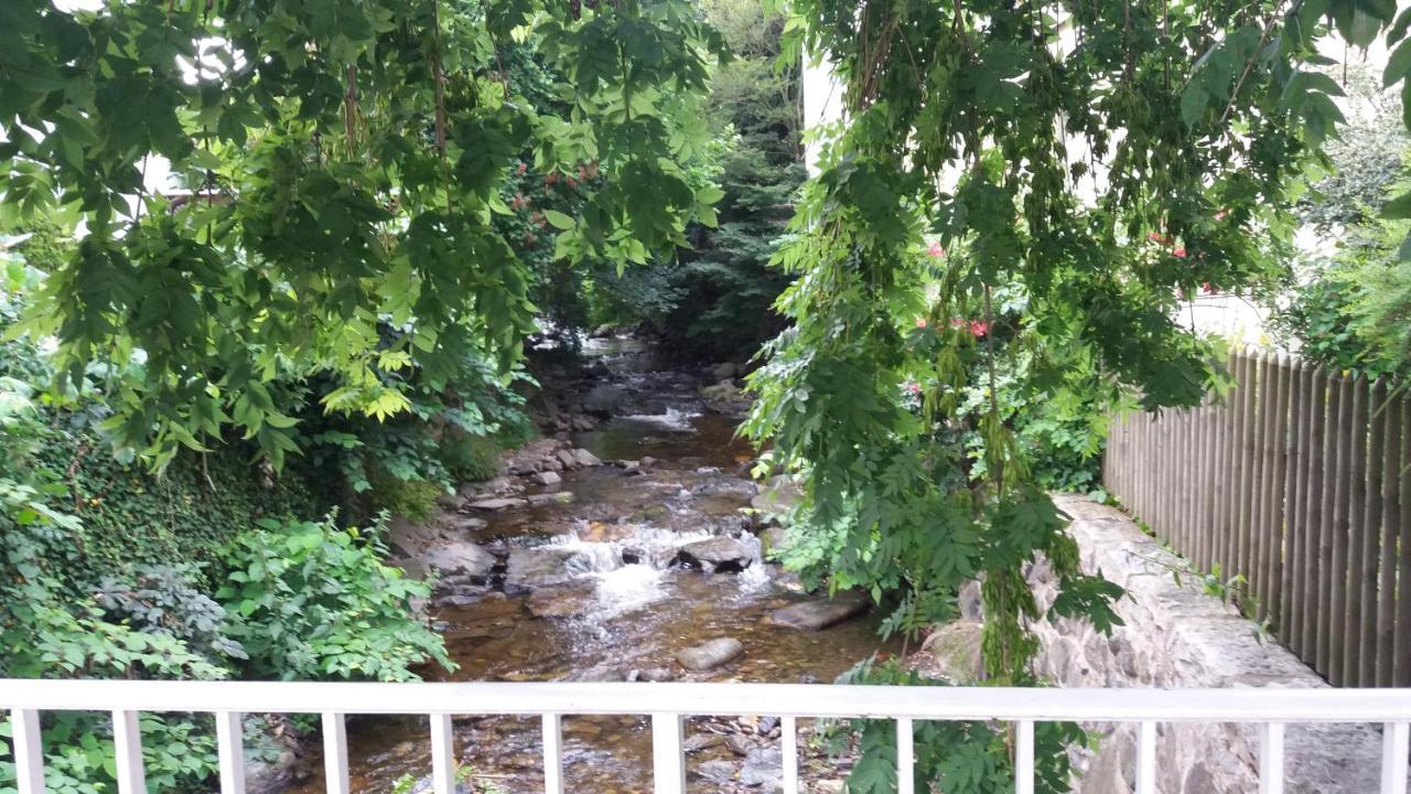 Appartement An der Radau Bad Harzburg Exterior foto